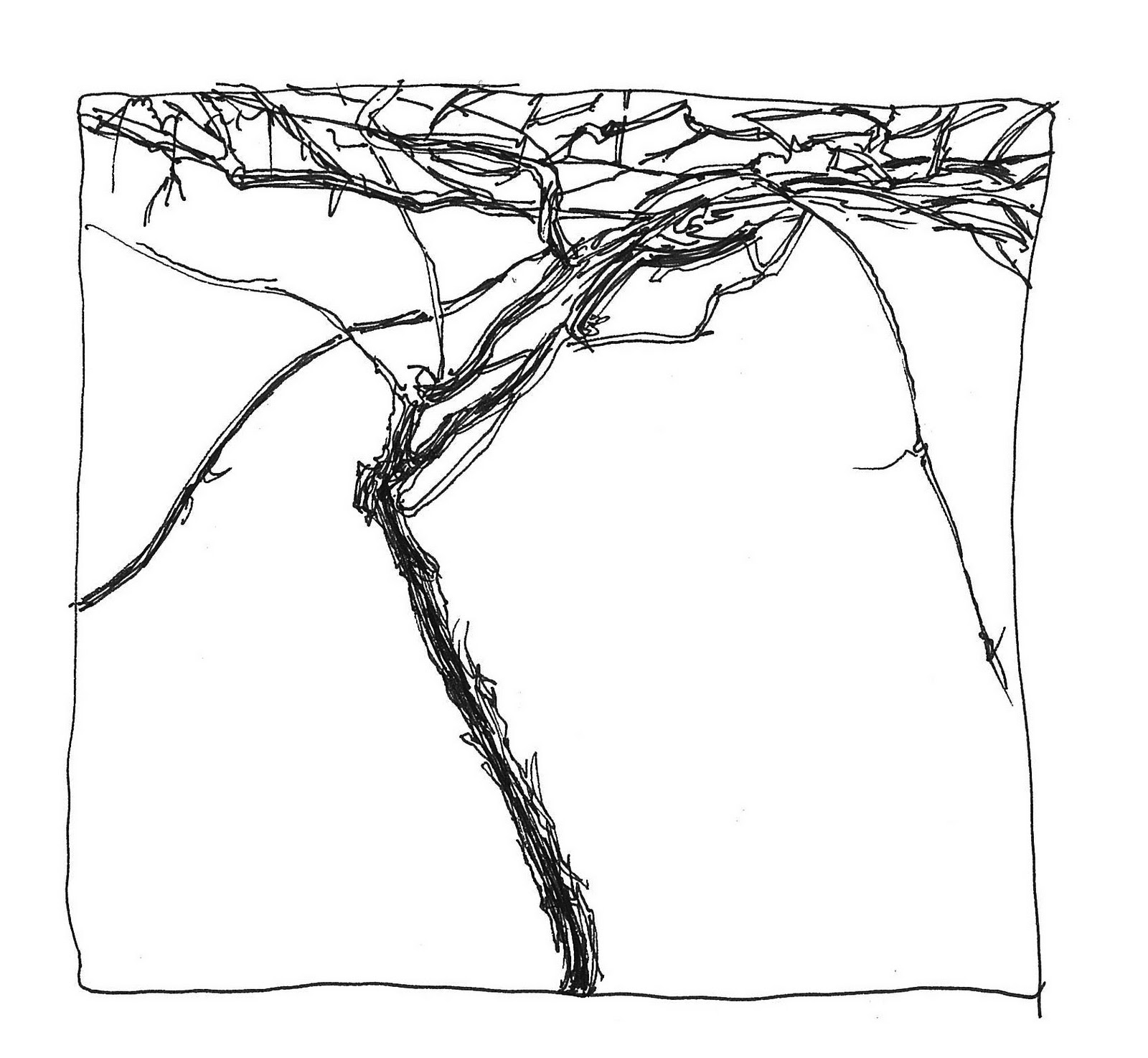 1600x1474 My Landscape Sketches Grapevine In Winter.