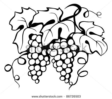 450x398 Black Drawing Of Grape And Leaves, Vector