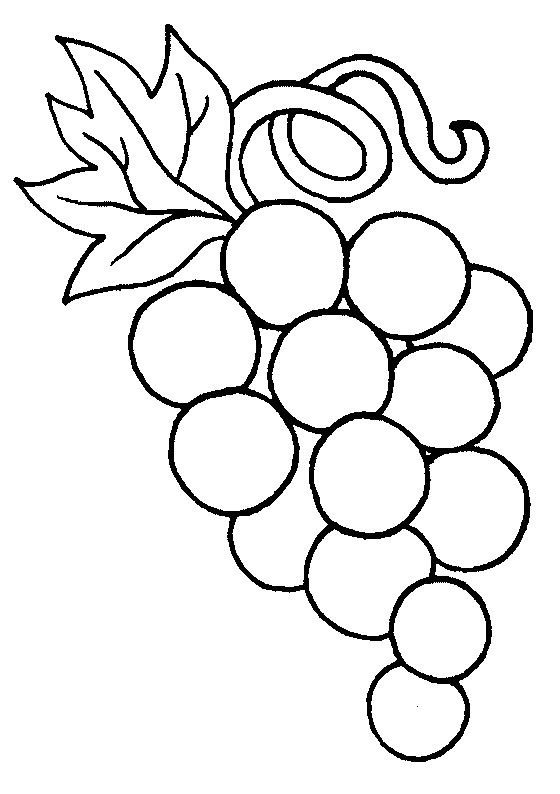 560x794 Drawing Clipart Grape
