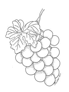 236x316 Drawn Grape Pencil Drawing