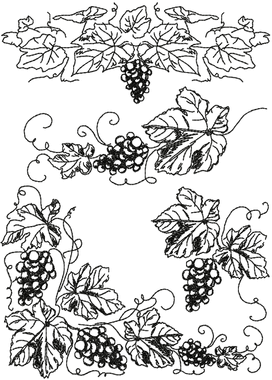 272x380 Grape Vine