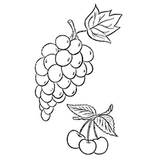 230x230 Top 25 Free Printable Lovely Grapes Coloring Pages Online