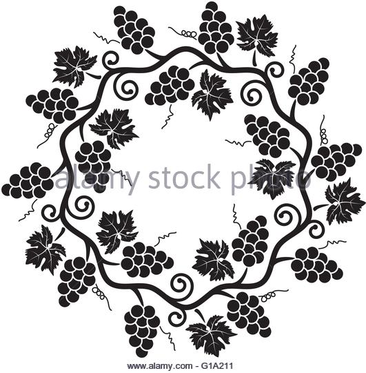 531x540 Vine Vector Vectors Stock Photos Amp Vine Vector Vectors Stock