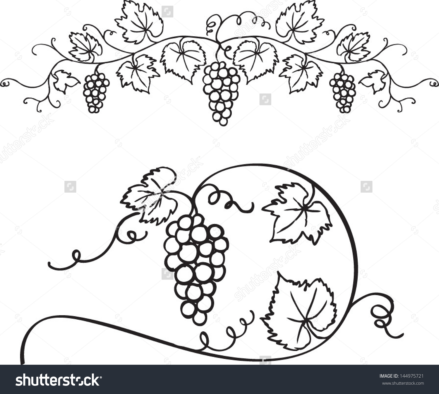 1500x1346 Decorative Grapes Amp Vine Vector Ornament Bible