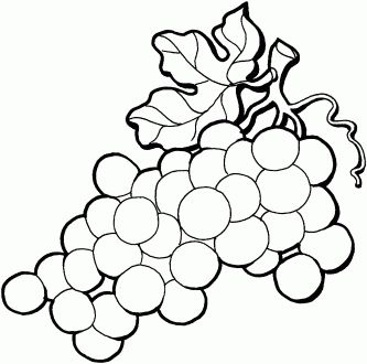 333x330 Grapes Clipart Clipartpen