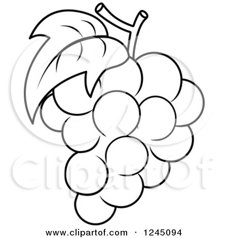 450x470 Bunch Of Grapes Clip Art Clipart Collection