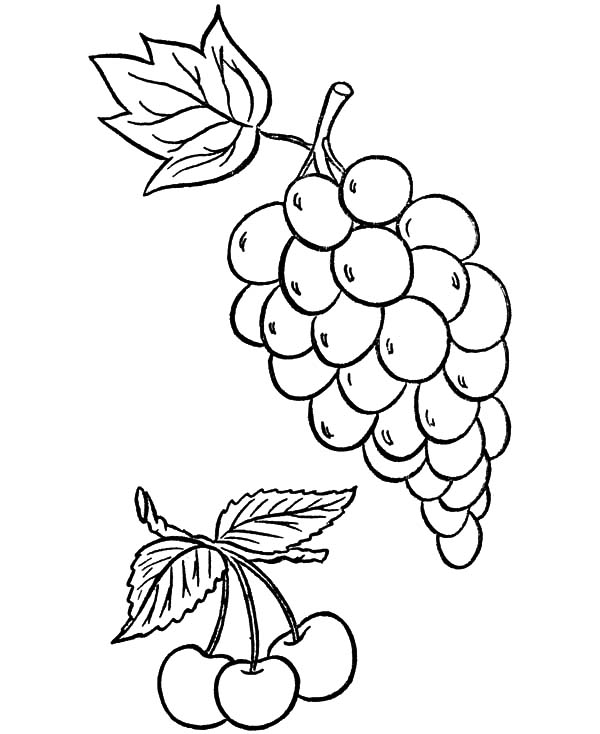 600x734 How To Draw Grapes Coloring Pages Color Luna