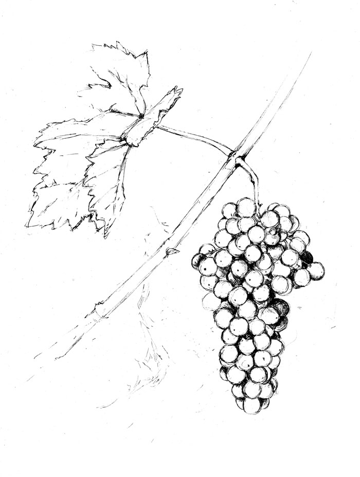 700x928 Kelly Leahy Radding Italy