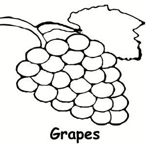 300x300 Showing Post Media For Cartoon Grape Outline Efcceabbaeaacoloring