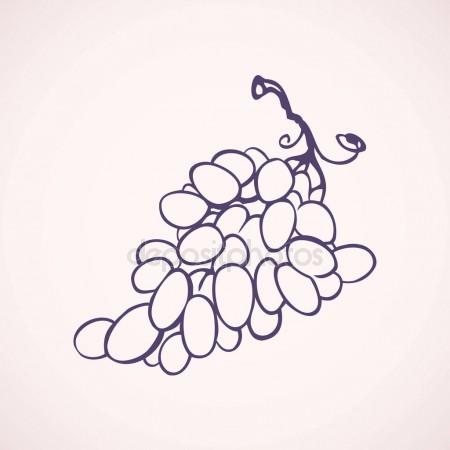 450x450 Bunch Of Grapes. Vector Drawing Stock Vector Marinka