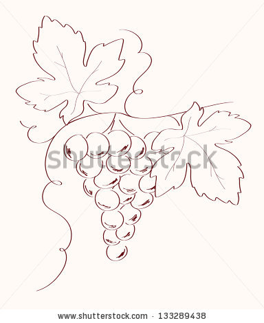 384x470 Drawn Grapes Simple
