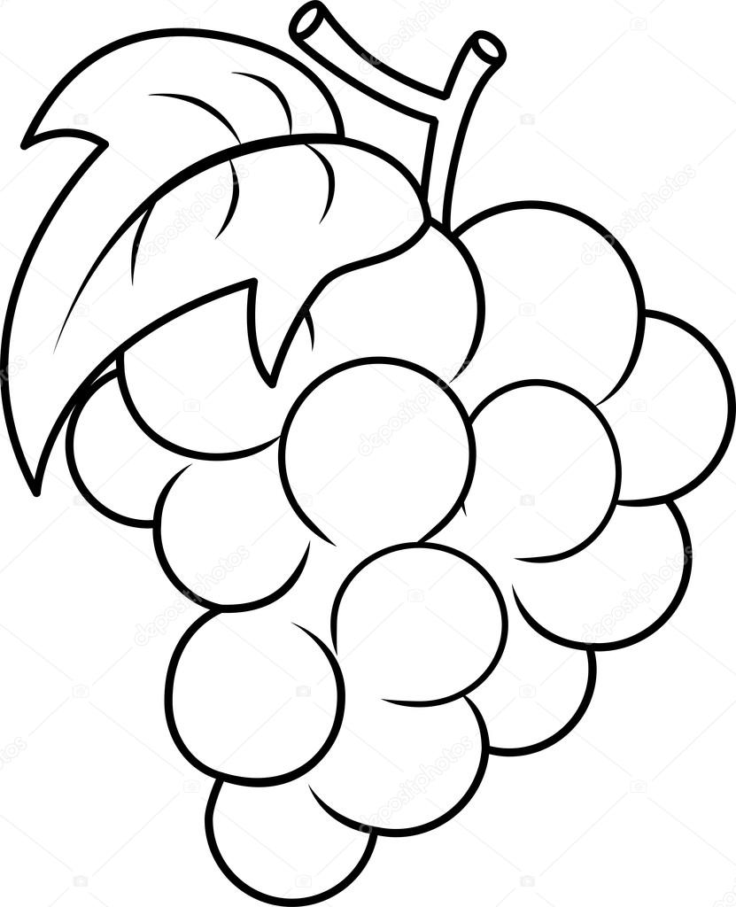 831x1024 Grape Coloring Page Stock Photo Lenmdp