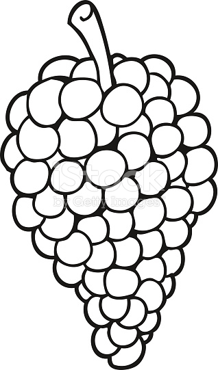 318x541 15 Black And White Picture Of Grapes Selection Black And White