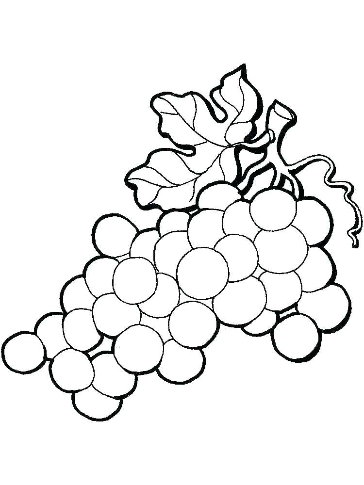 Grapes Line Drawing at GetDrawings | Free download