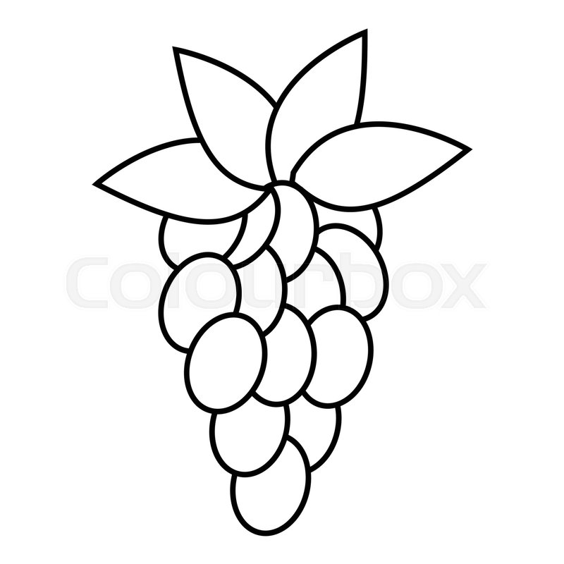 800x800 Grapes Icon. Outline Illustration Of Grapes Vector Icon For Web