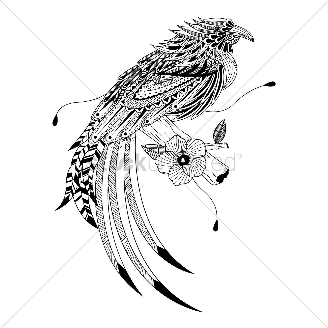 1300x1300 Intricate Bird Design Vector Image