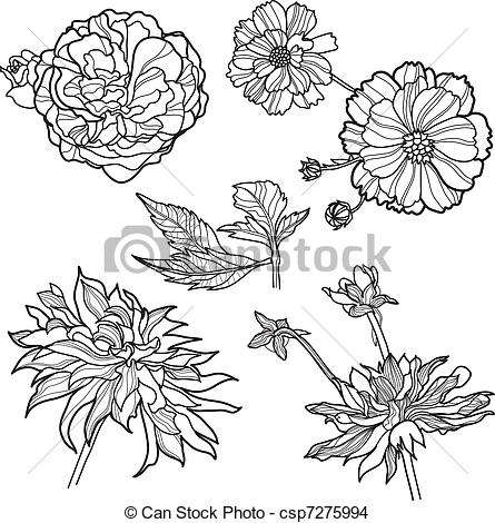 445x470 Photos Graphic Flower Drawing,