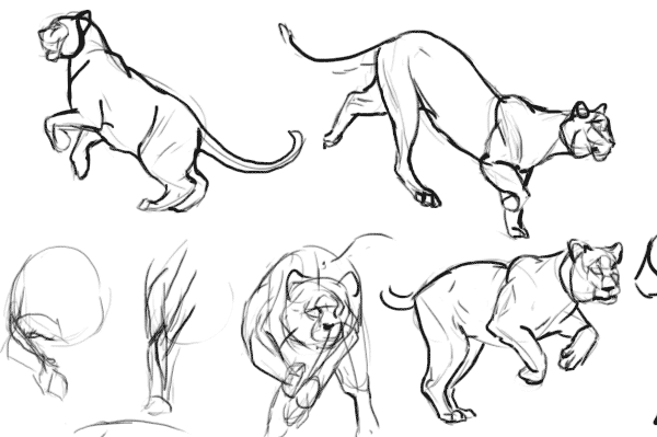 600x399 Why You Shouldn'T Get A Graphics Tablet