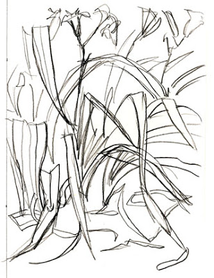 308x400 The Artist's Brain Art Lesson Gesture Drawings Of Plants