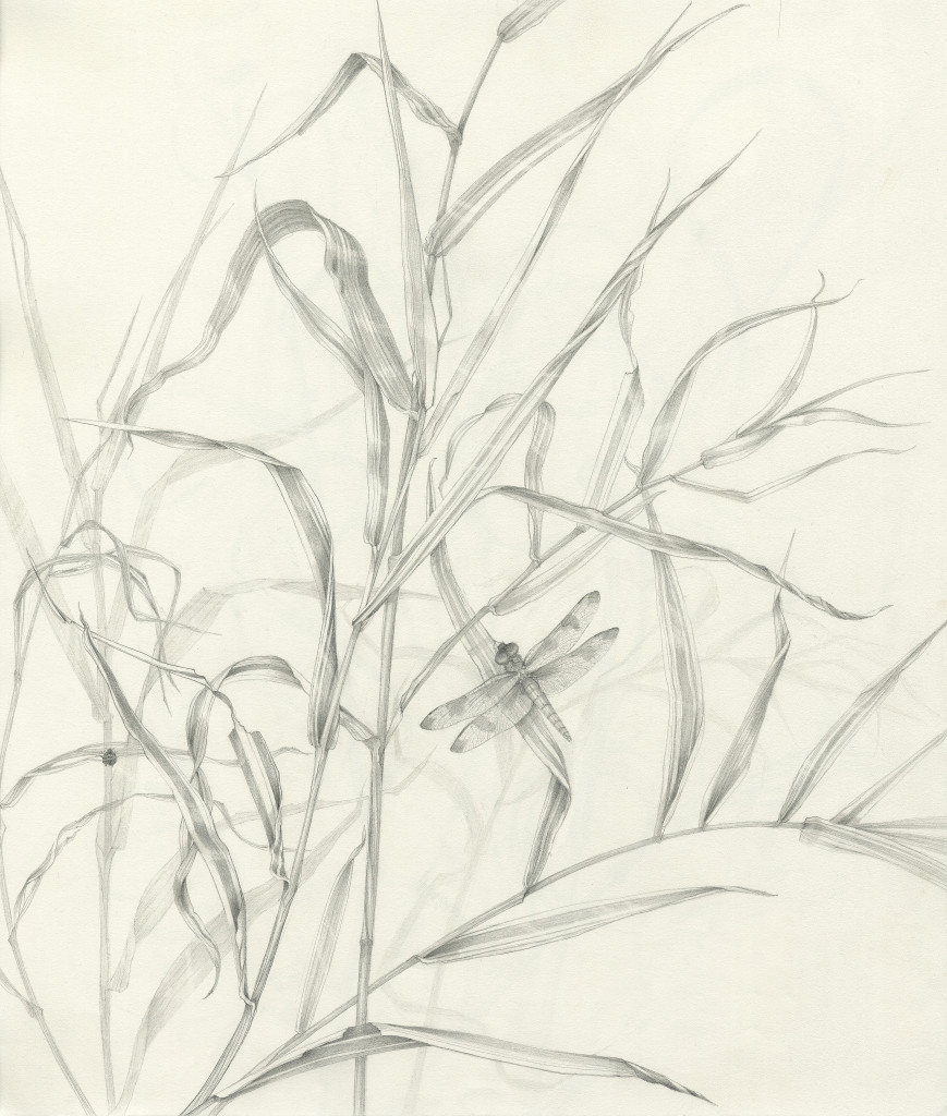 869x1024 Carol Ann Morley Grass