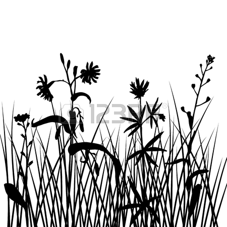 450x450 Vector Silhouettes Of Field Flowers And Grass, Background