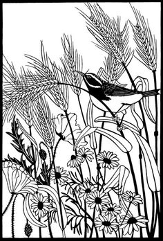 236x348 Vector Grass Silhouettes Background. All Objects Are Separated