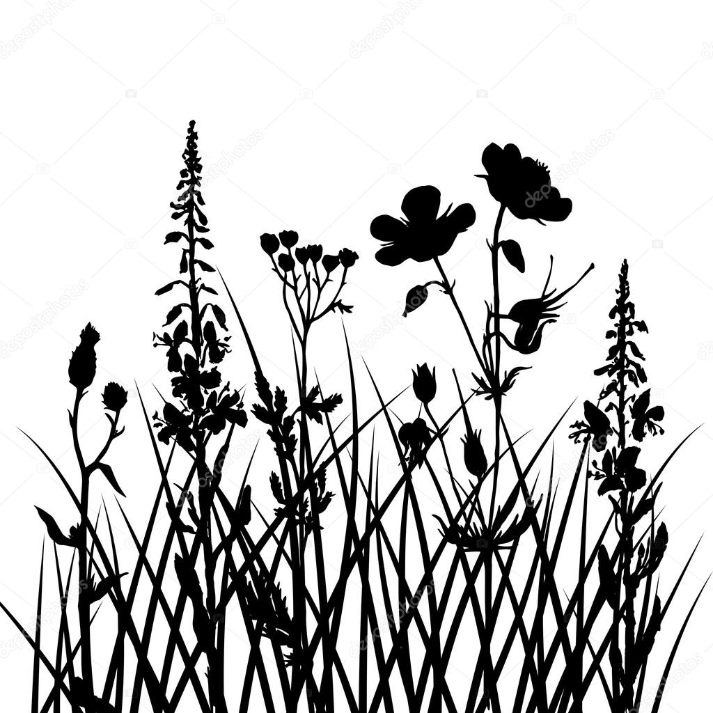 1024x1024 Vector Silhouettes Of Flowers And Grass Stock Vector
