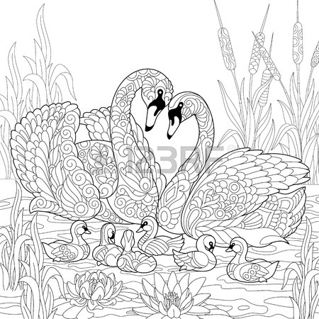 450x450 Coloring Book Page Of Rural Landscape, Flower Meadow, Lake, Farm