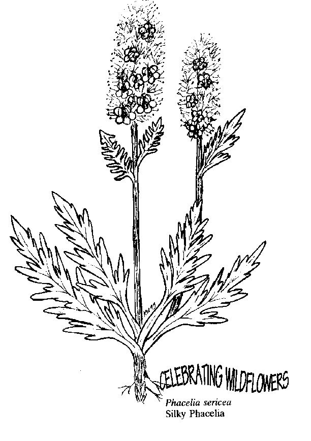 612x868 Umatilla2520national2520forest2520 2520resource2520management