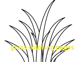 320x240 Grass Coloring Pages With Grass Clipart Colouring Page Pencil