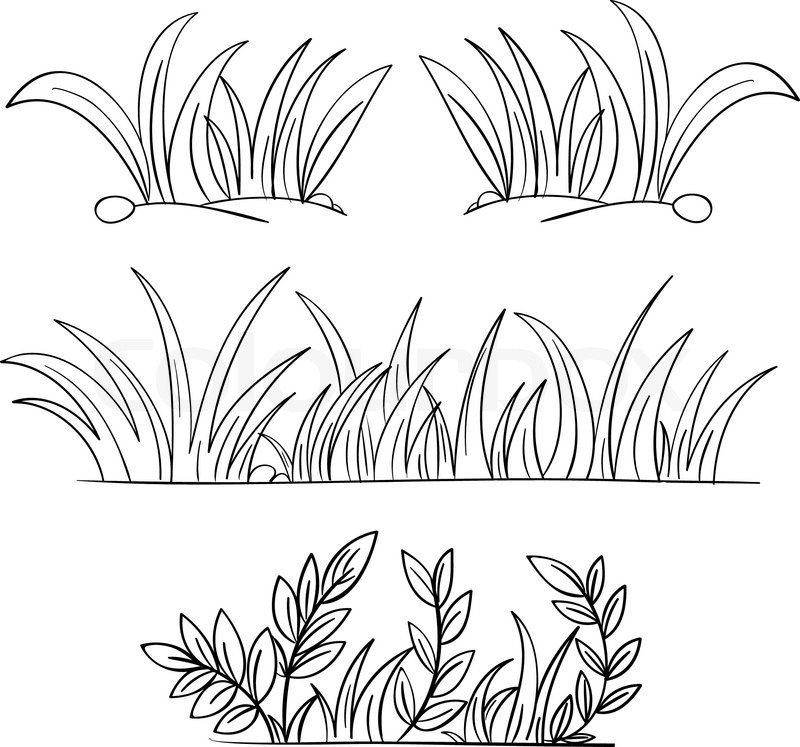 800x747 Grass Drawing Black And White Grass Vector Drawing Plants