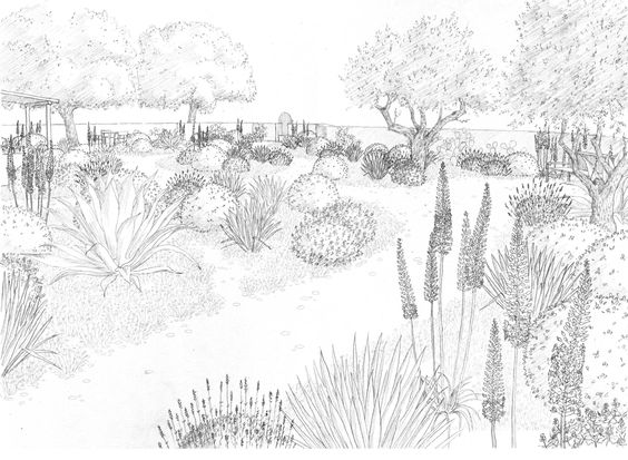 564x413 Landscape Drawings Renate's Drawings Landscape