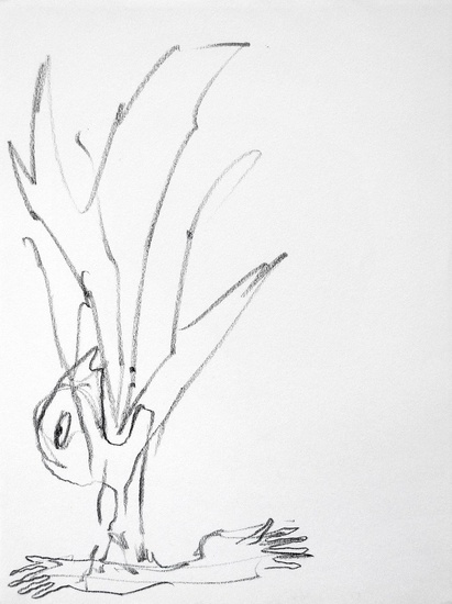 411x550 Raph De Haas