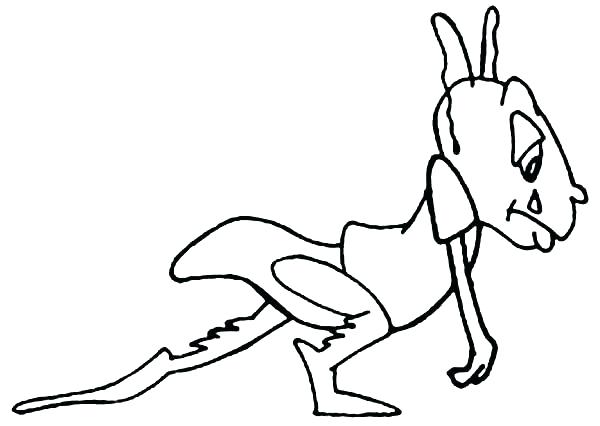 600x426 Grasshopper Coloring Pages Grasshopper Drawing Tiny Coloring Page