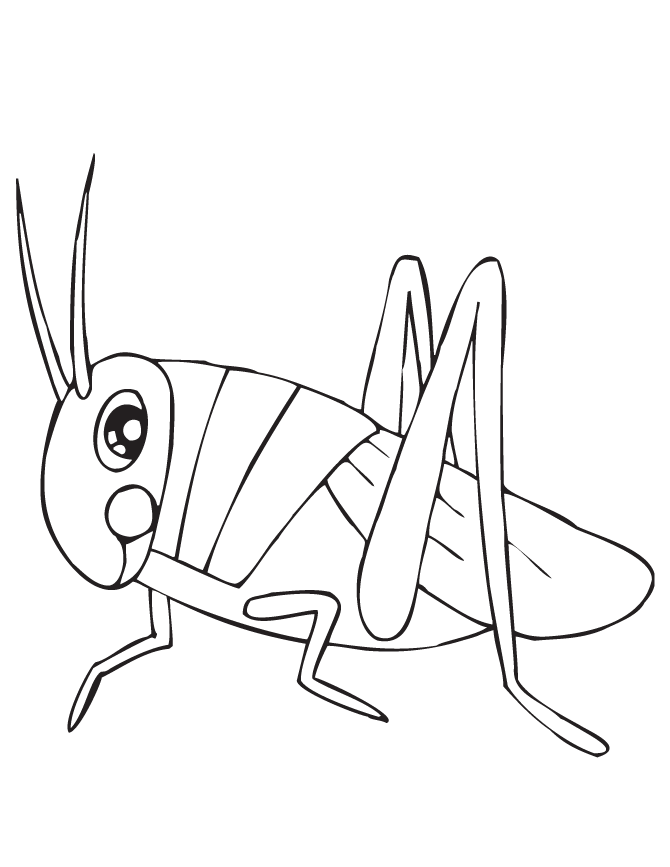 670x867 Grasshopper Coloring Page Grasshopper Coloring Pages Images
