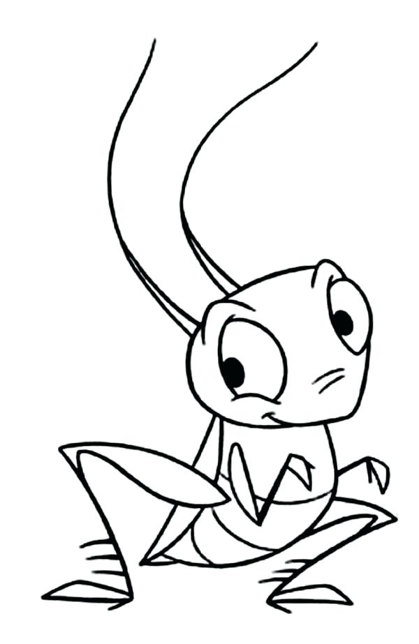 600x923 Grasshopper Coloring Page