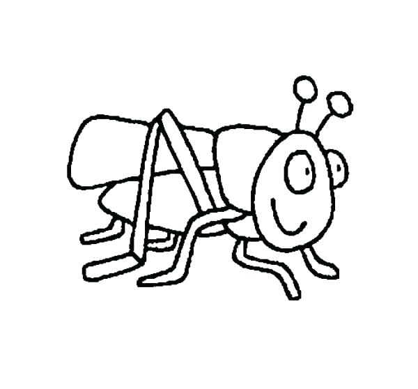 600x558 Grasshopper Coloring Pages