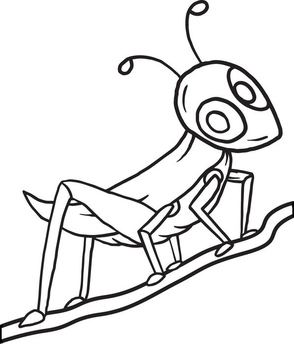598x700 Free, Printable Grasshopper Coloring Page For Kids