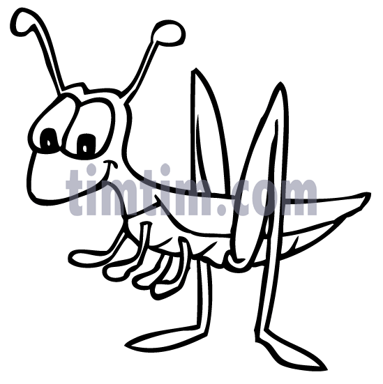 549x551 Free Drawing Of A Grasshopper Bw From The Category Birds Amp Insects