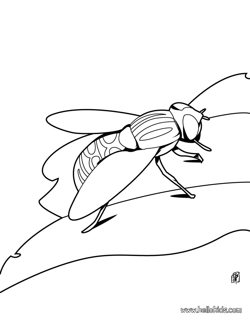820x1060 Grasshopper Coloring Pages Hellokids Com Within Page