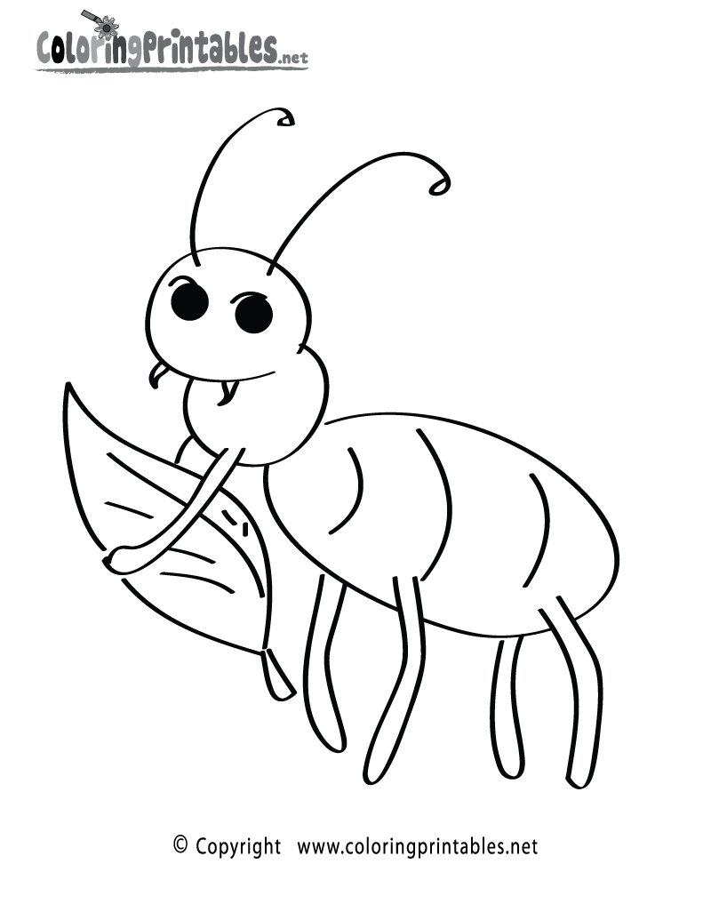 800x1035 Grasshopper Coloring Pages. Cute Cartoon Dolphin Coloring Pages