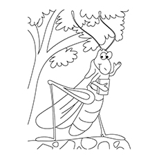 230x230 Top 10 Grasshopper Coloring Pages Your Toddler Will Love To Color