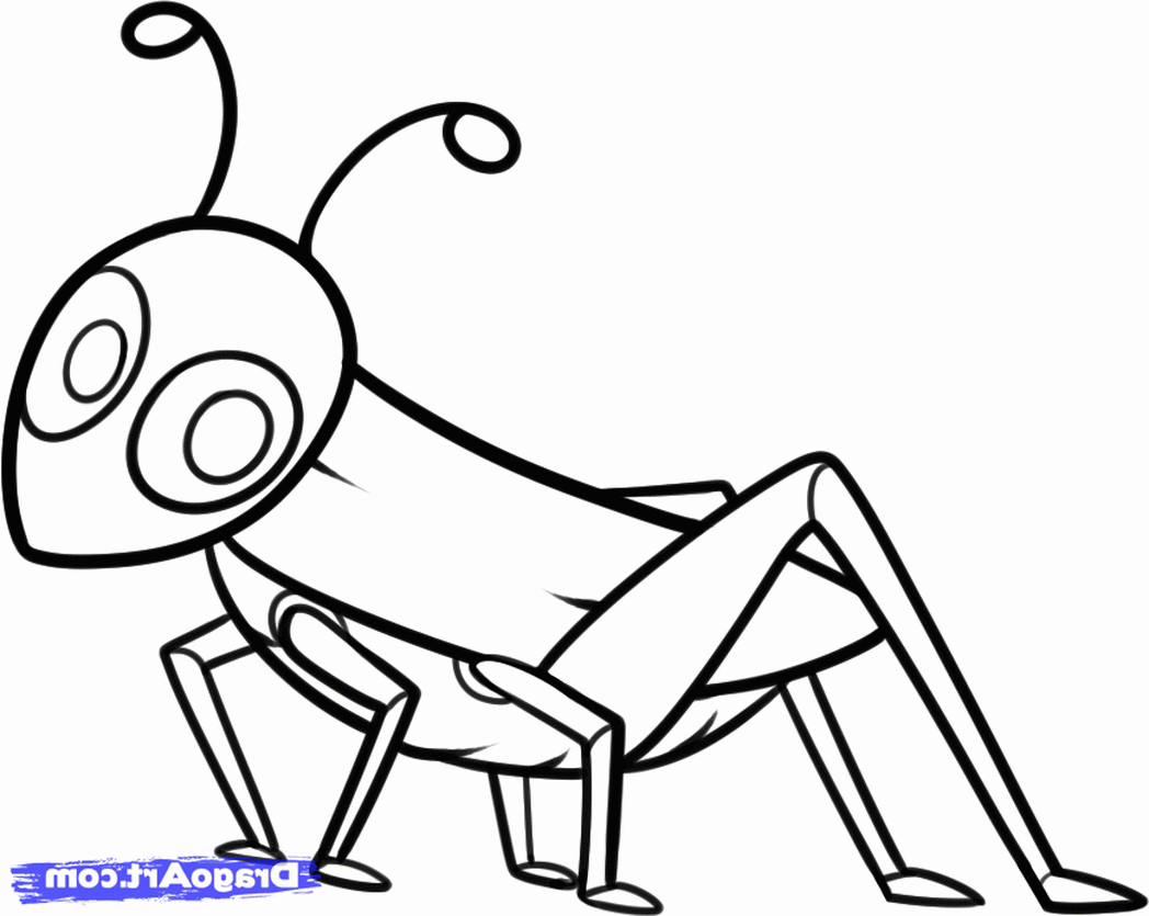 1048x835 Draw Grasshopper For Step Animals 482298 Coloring Pages For Free