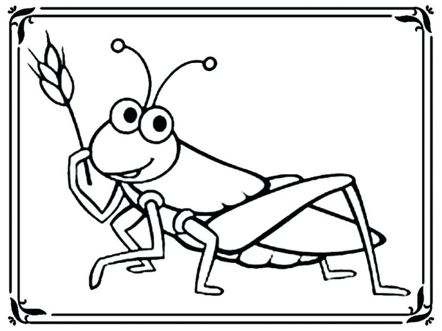 863x647 Grasshopper Coloring Page Designs At Pages Print The Ant