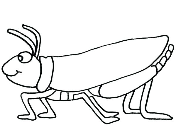 Grasshopper Line Drawing at GetDrawings | Free download