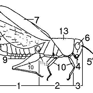 326x326 Helicoid Transformation