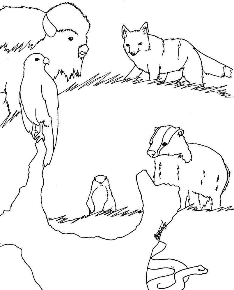 804x994 Grassland Animals By Illuminatii