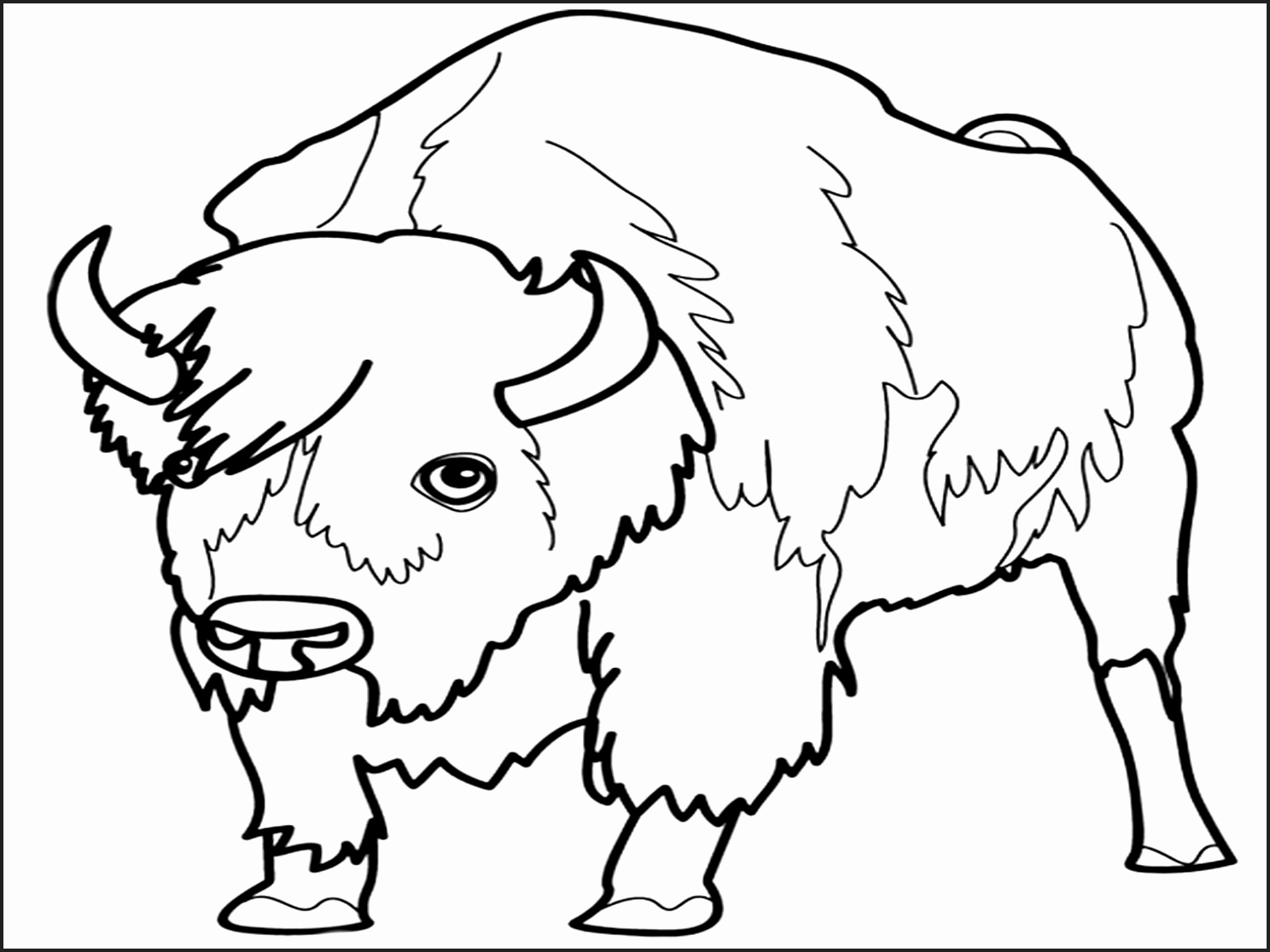 1488x1116 Cartoon Animal Drawing Free Download Clip Art Sketches Of Animals