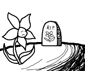 300x250 A Sad Memorial
