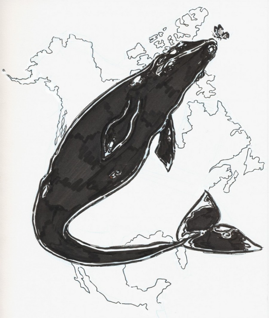 900x1065 The Monarch Butterfly, The Gray Whale And The Free Trade Agreement